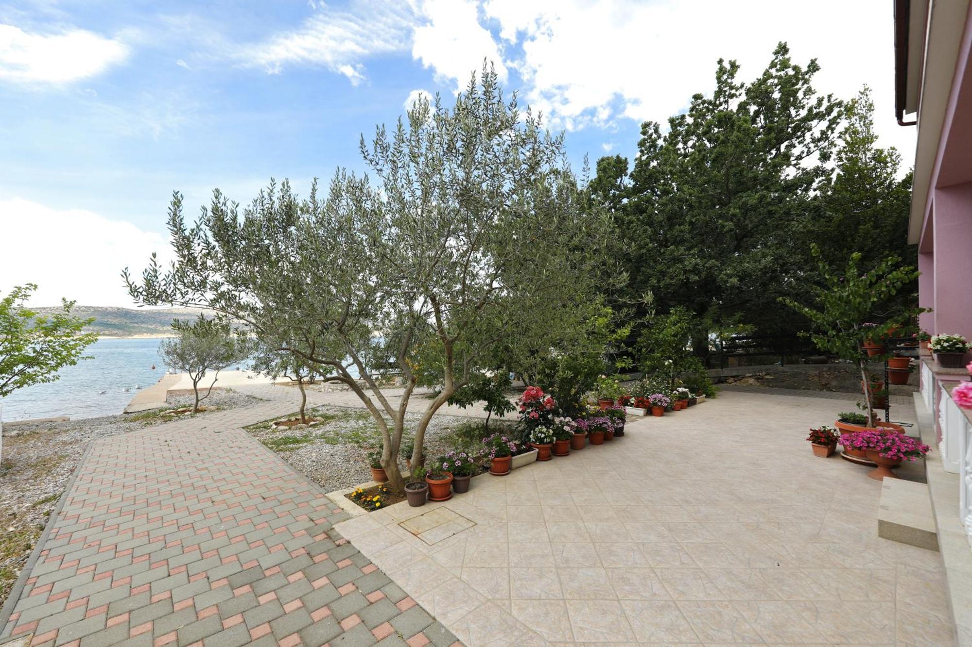 Villa Rajna Стариград-Паклениця Номер фото